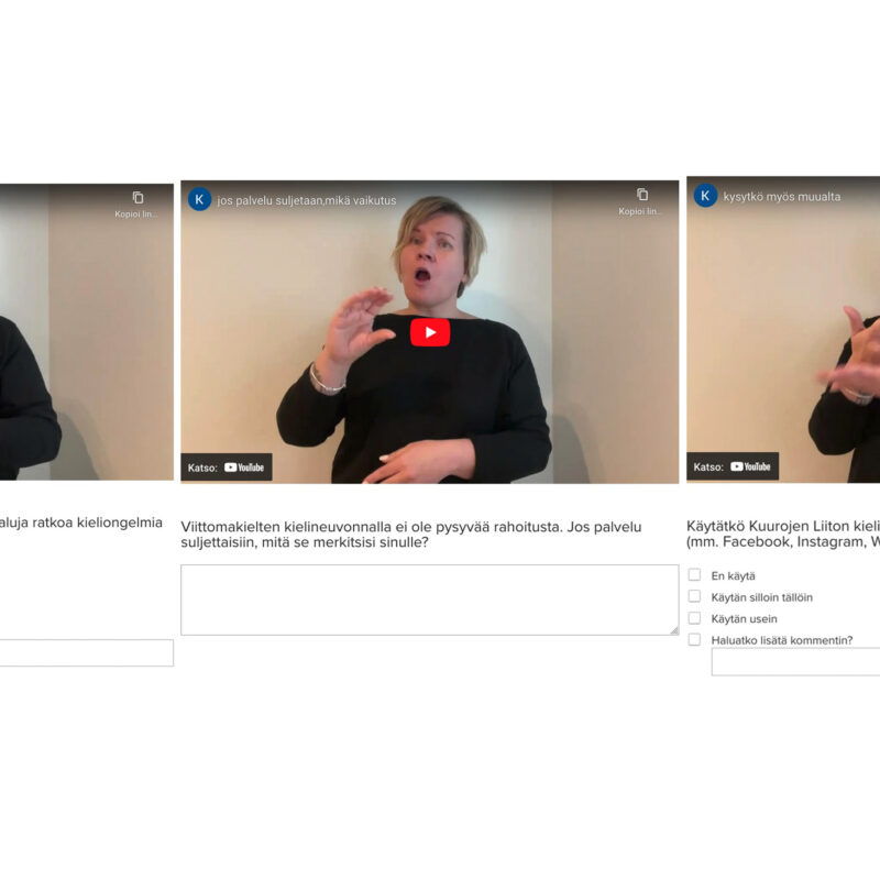 Näyttökaappauksia kielineuvonnan kyselylomakkeelta